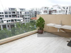 Palacio (D15), Terrace #154165602
